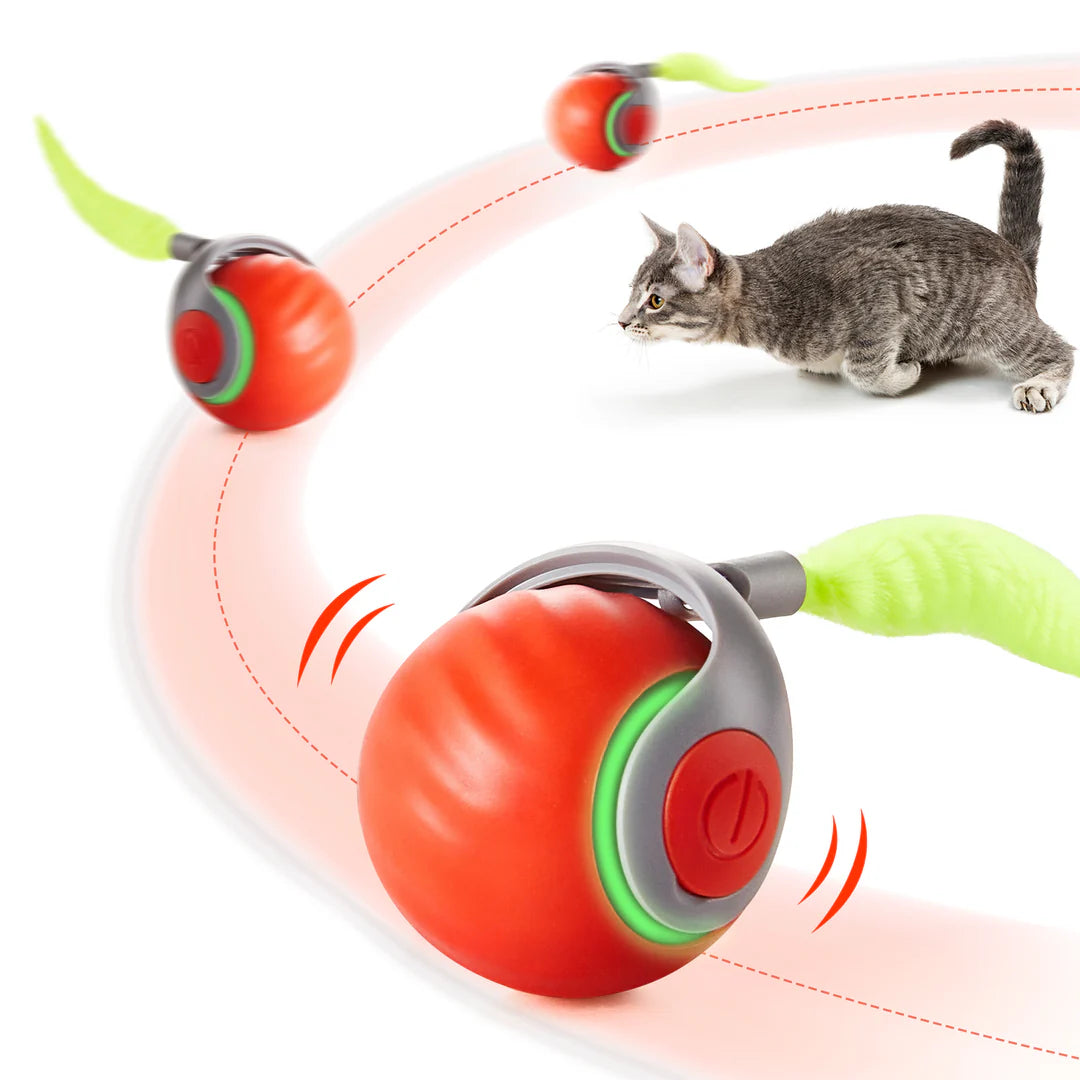 Potaroma Moving Ball Cat Toys with Feather Tail Interactive Ball for Cats