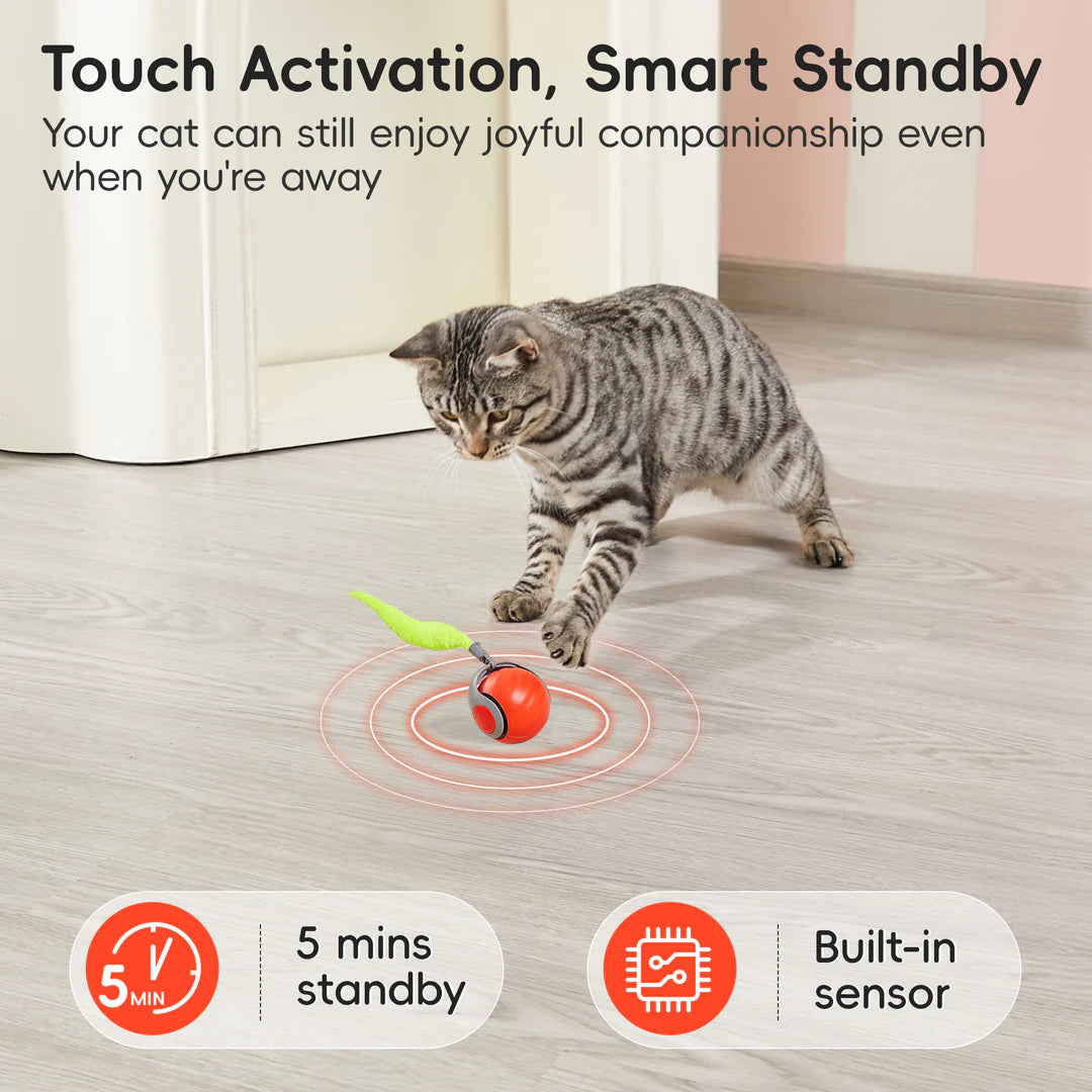 Potaroma Moving Ball Cat Toys with Feather Tail Interactive Ball for Cats